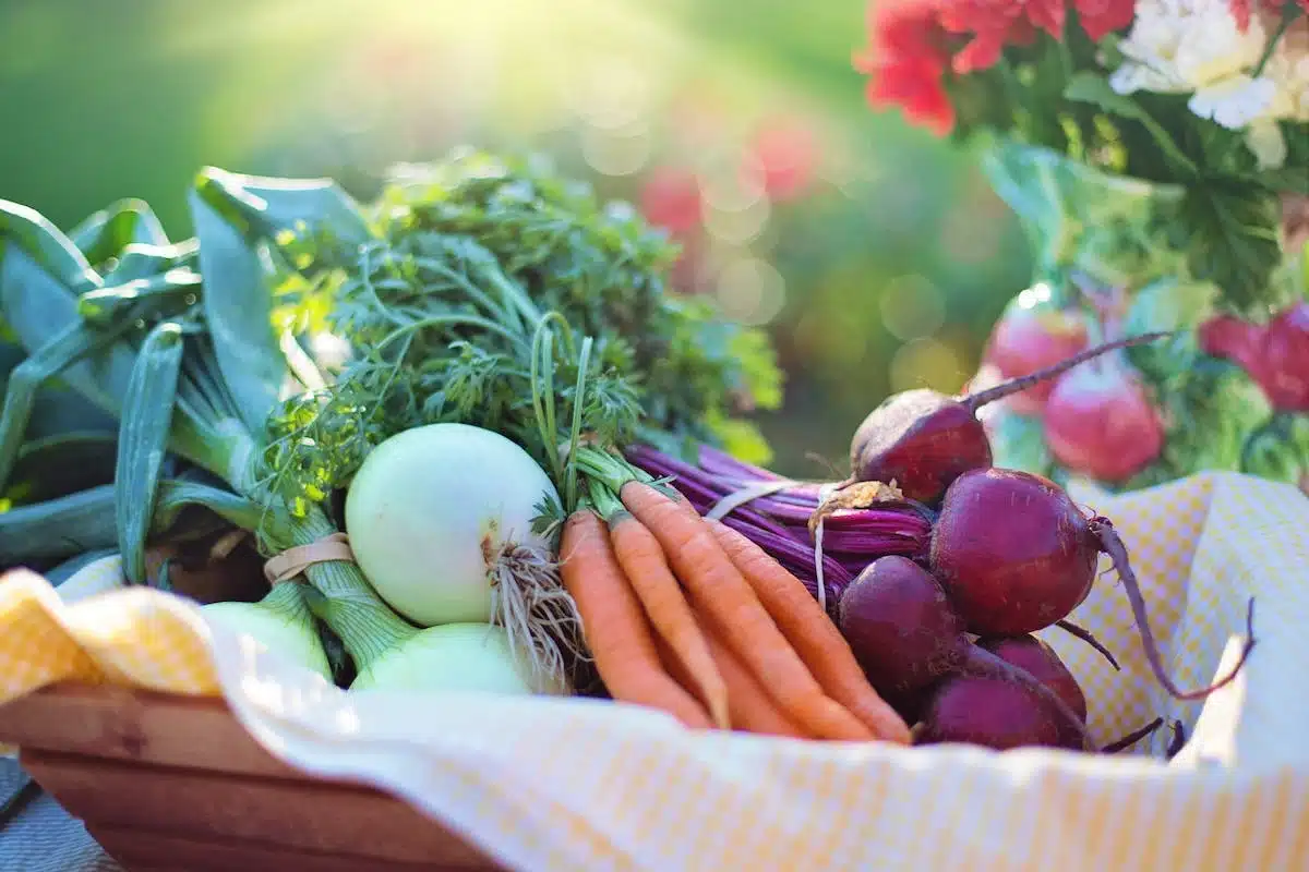 légumes automne
