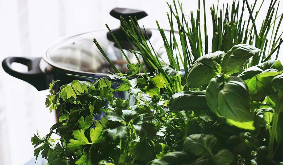 herbes aromatiques