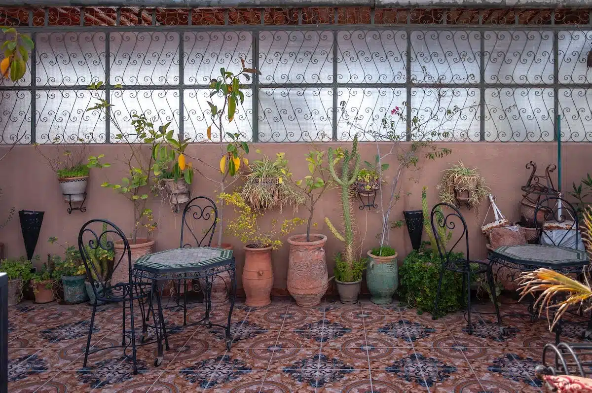 jardin tendance