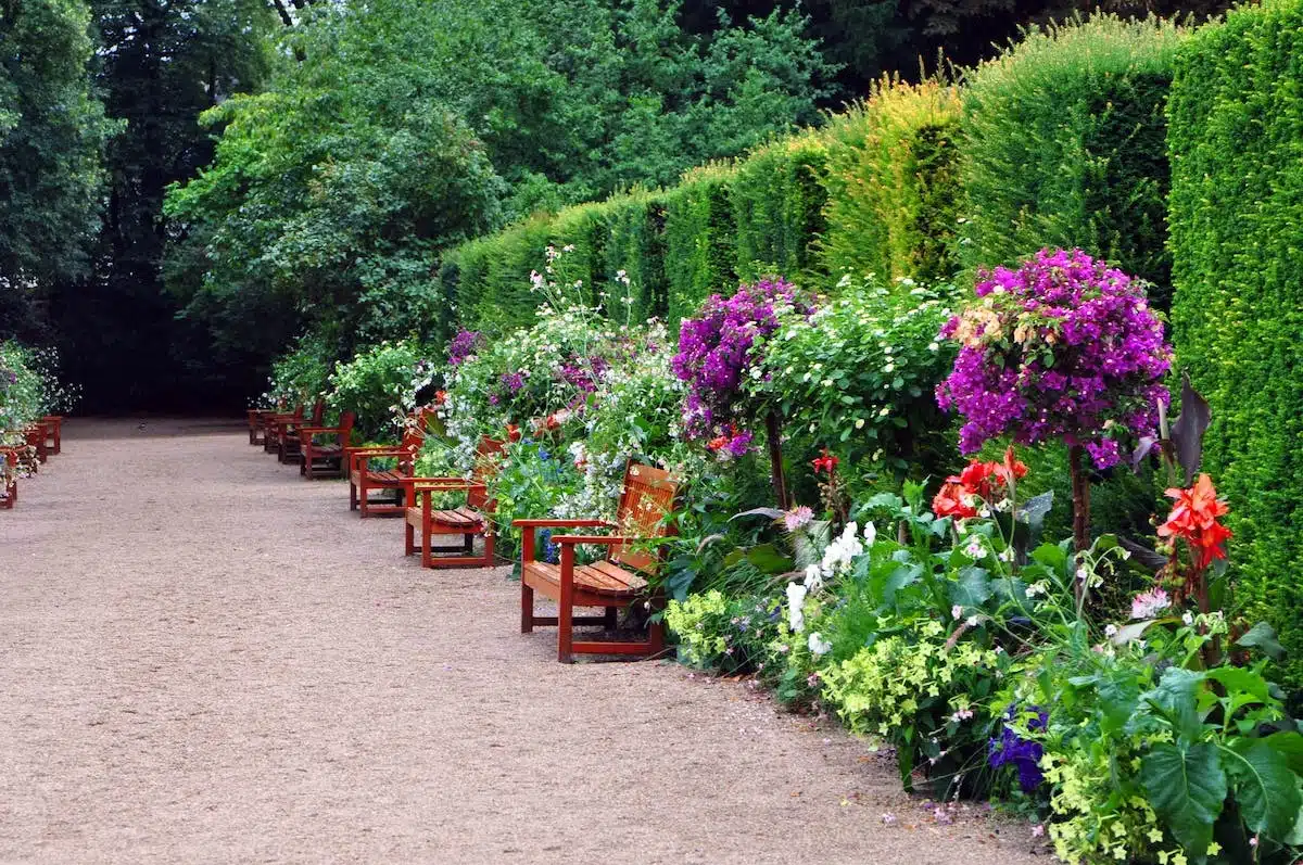 fleurs  jardinage