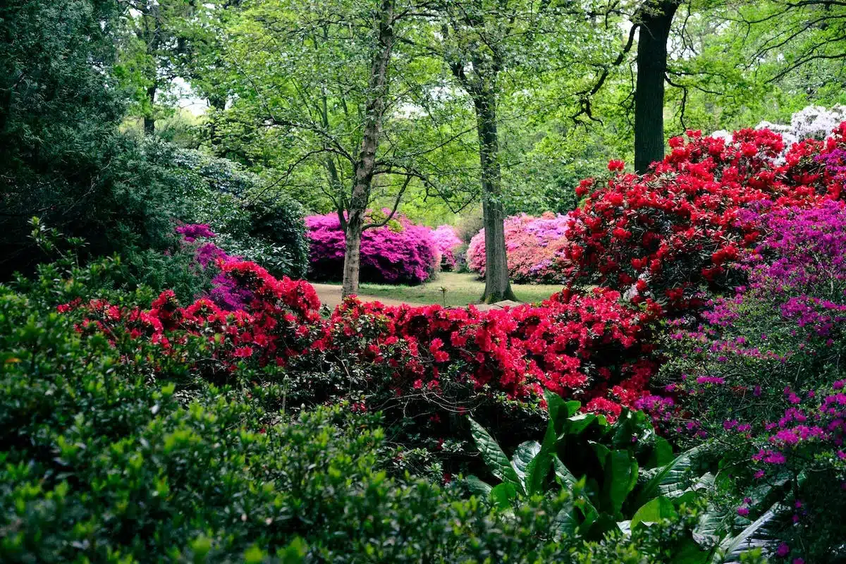 jardin naturel