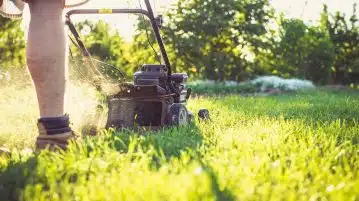 Les pièges à éviter lors de la tonte de votre pelouse