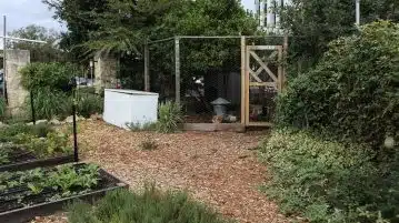 Les bénéfices de la culture en carré pour une réussite assurée de votre potager