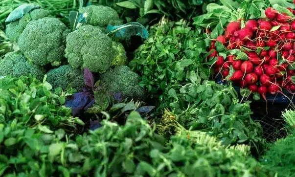 Les indispensables pour garder son potager en pleine santé