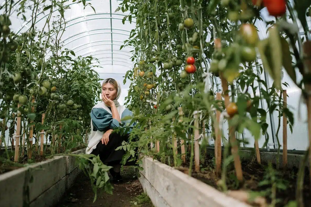 potager permaculture