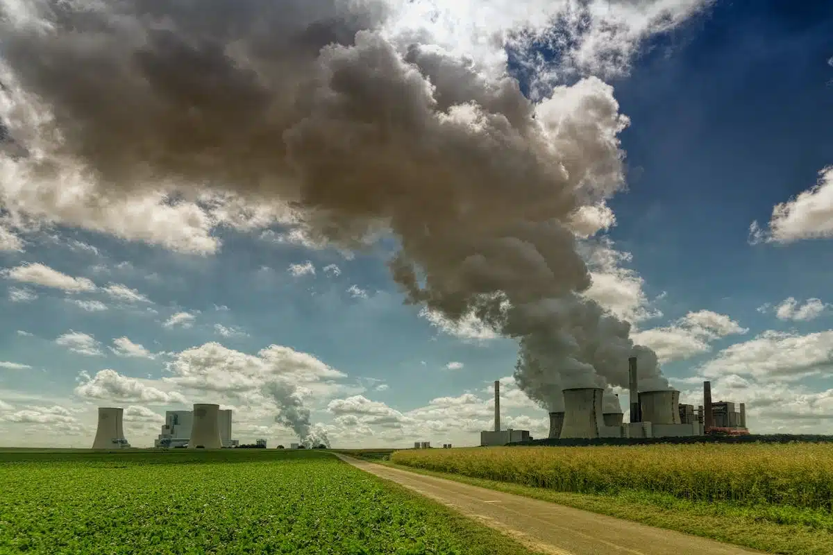 plantes dépolluantes