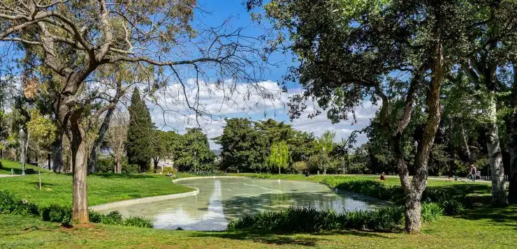 green grass field with trees and river in distance